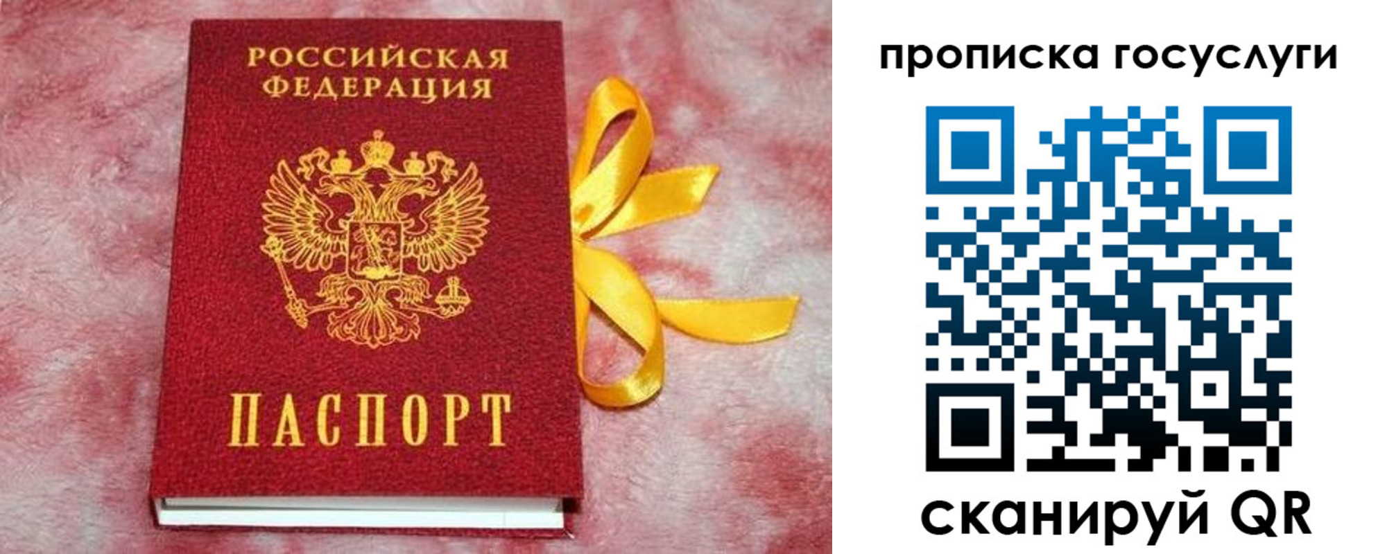 прописка законно в Краснодарском крае